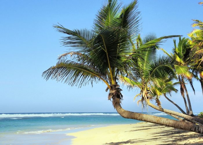 Cuba Expedition Beach
