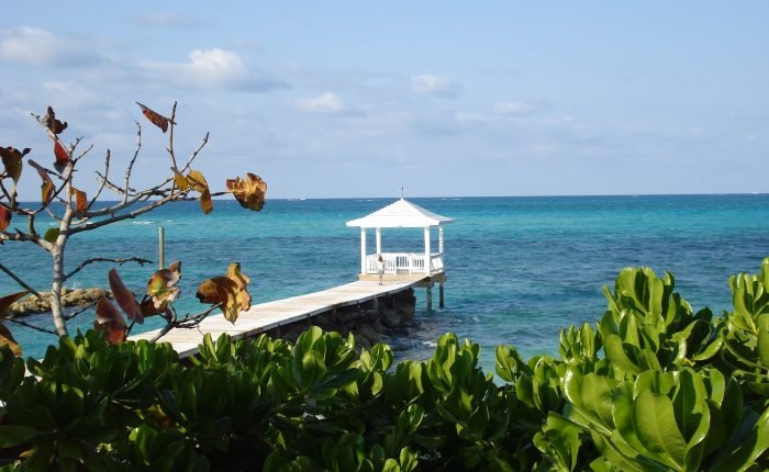 Half day ATV Excursion in Nassau 5