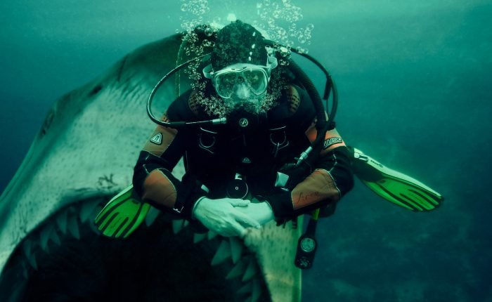 Tank Certified Shark Dive