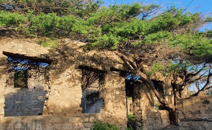 ARUBA HIKING ADVENTURE