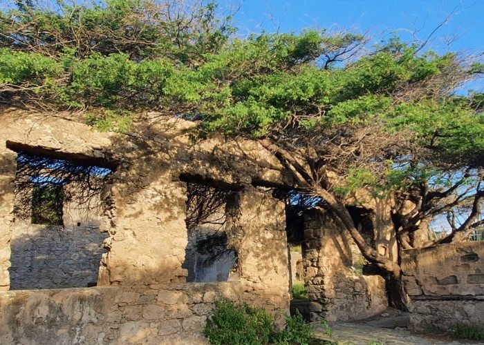 ARUBA HIKING ADVENTURE