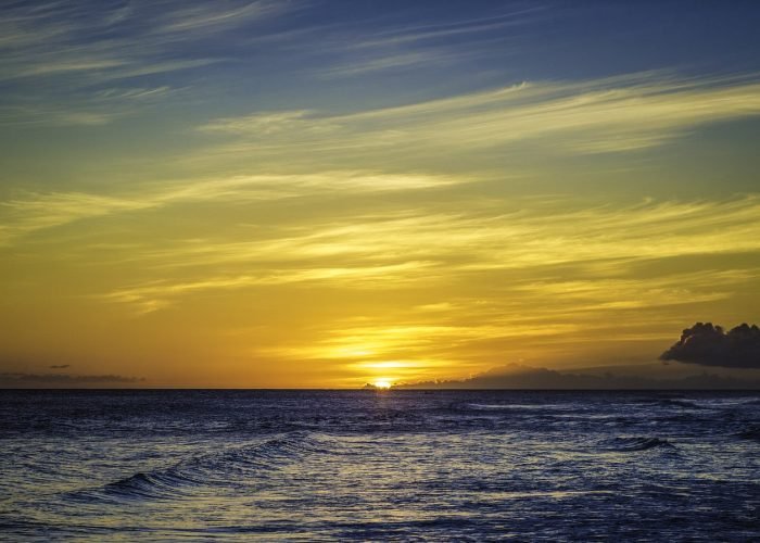 Barbados Island Tour