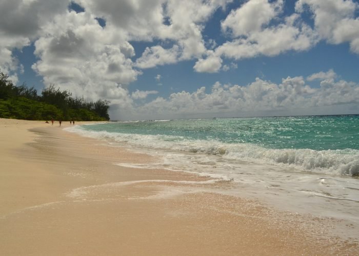 Barbados Island Tour beach