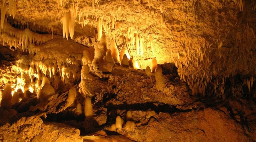 harrison’s cave & hunte’s gardens excursions