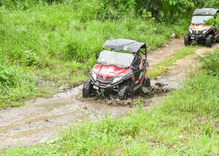 Antigua Buggy Tour
