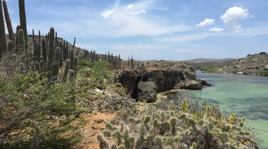 klein curacao adventure day trip