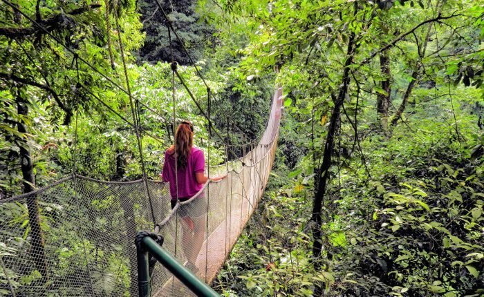 Combo Excursion Zip line suspension bridge and beach bridge
