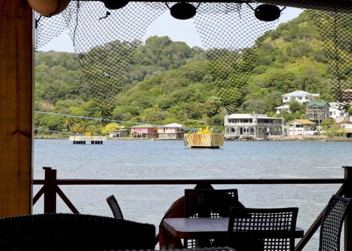 All inclusive extreme zip line Wild life encounter and beach