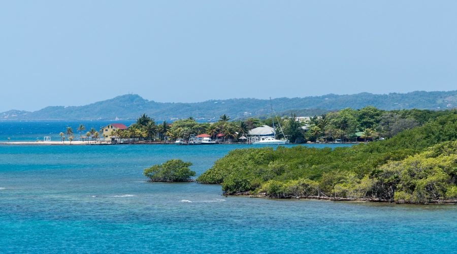 all inclusive extreme zip line wild life encounter and beach