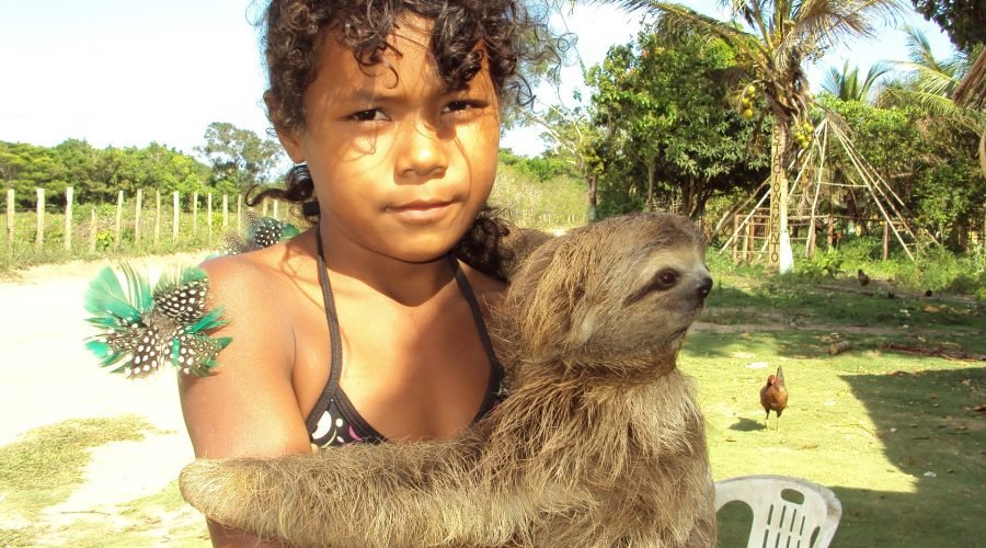 zip dip and wild life encounter, monkeys and sloth hangout