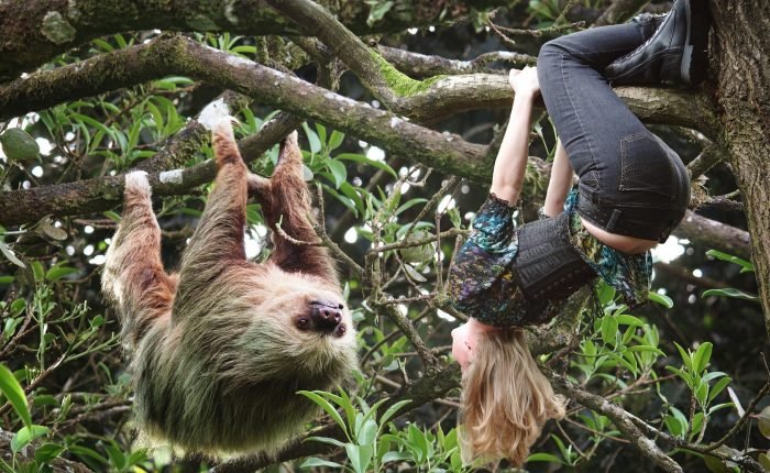 Monkeys Sloth Hangout Chocolate Factory Rum Factory Island Tour