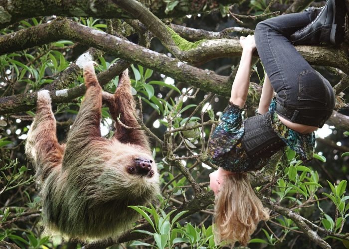 Monkeys Sloth Hangout Chocolate Factory Rum Factory Island Tour