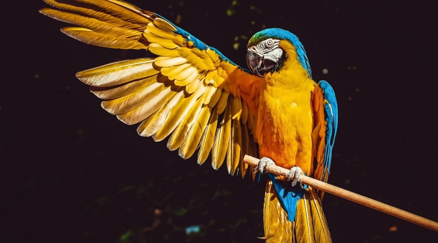 off-road, atv guided tour and beach day pass