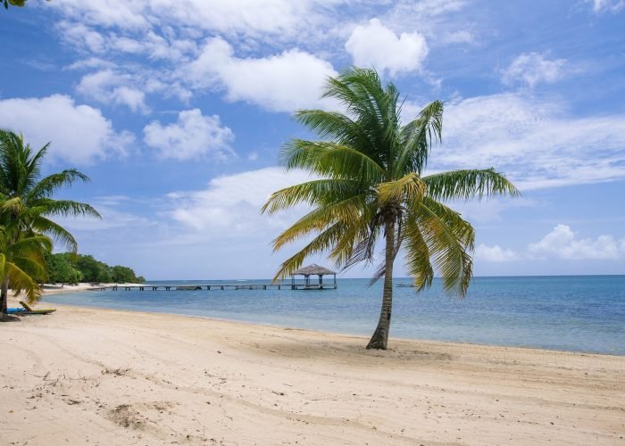 Roatan Half day zip line combo beaches monkeys and sloth hangout