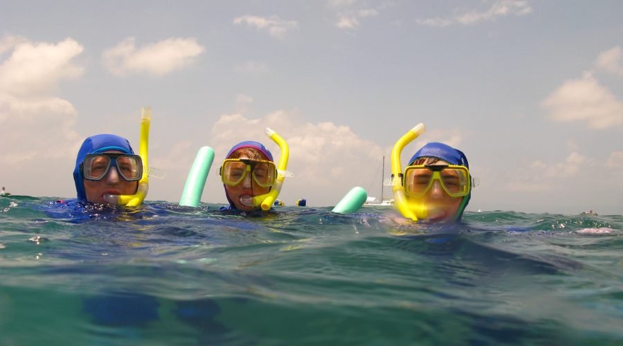 roatan ultimate nature combo: mangrove cruise, horseback riding, beach & snorkeling