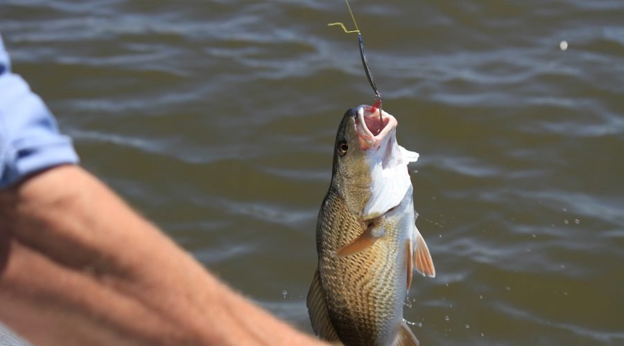 sport fishing and snorkeling adventure by boat