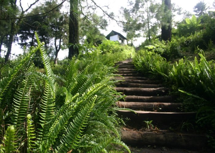 steps Volcano Salvador