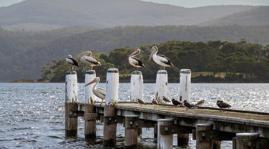 providenciales city tour