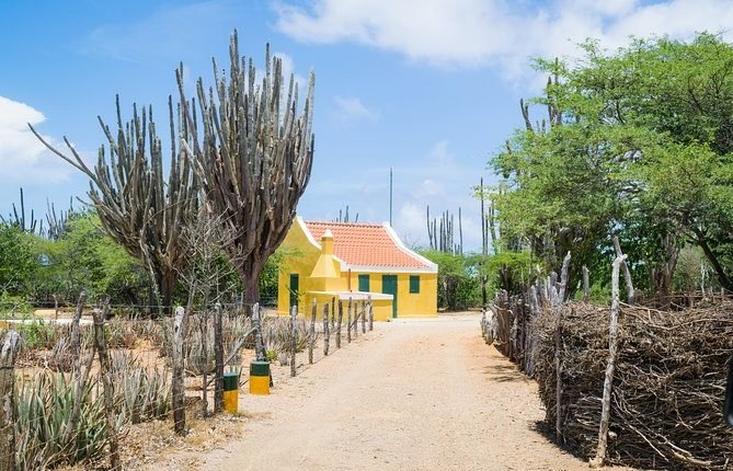 cultural and bonaire highlights tour