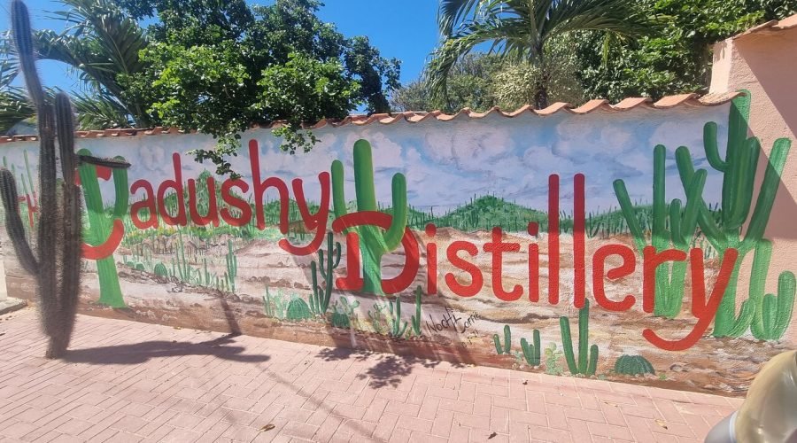 guided south and north tour of bonaire