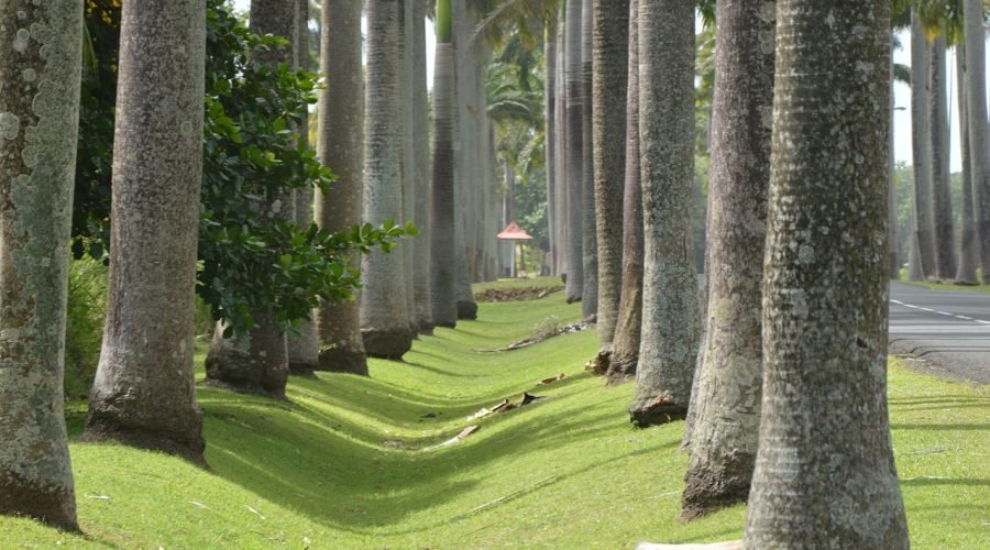 discovering the beauty of guadeloupe 7 days /6 nights