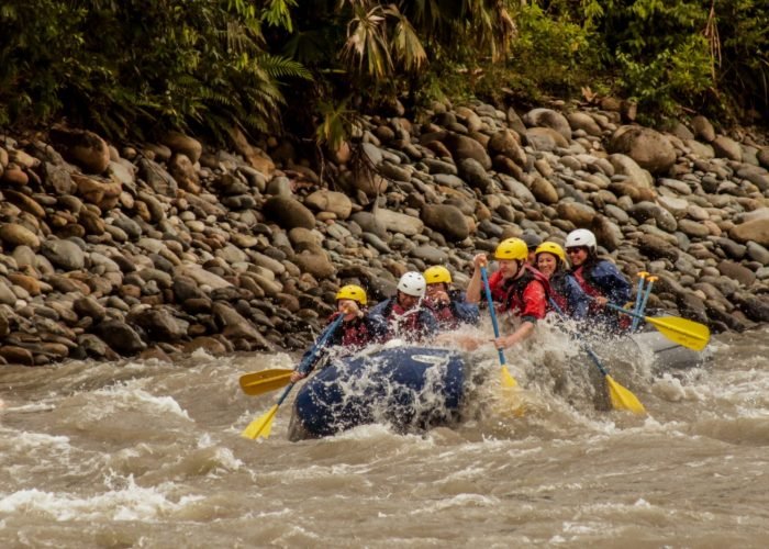 Amazon Rainforest Tours