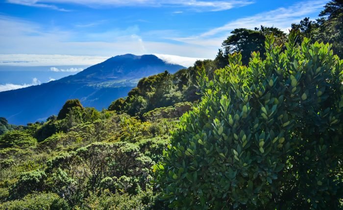 Volcano in La fortuna