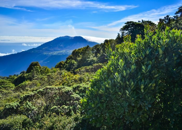 Volcano in La fortuna