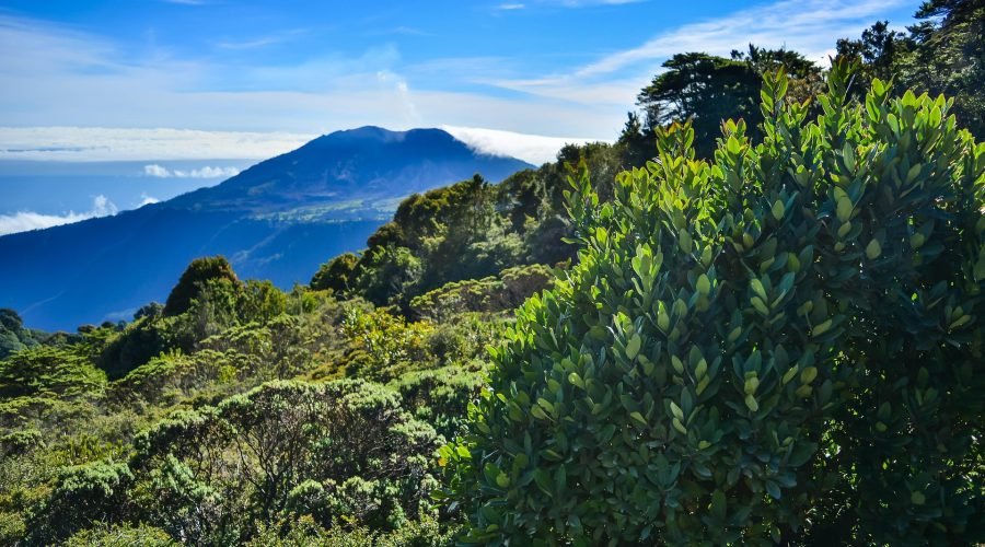 Volcano in La fortuna