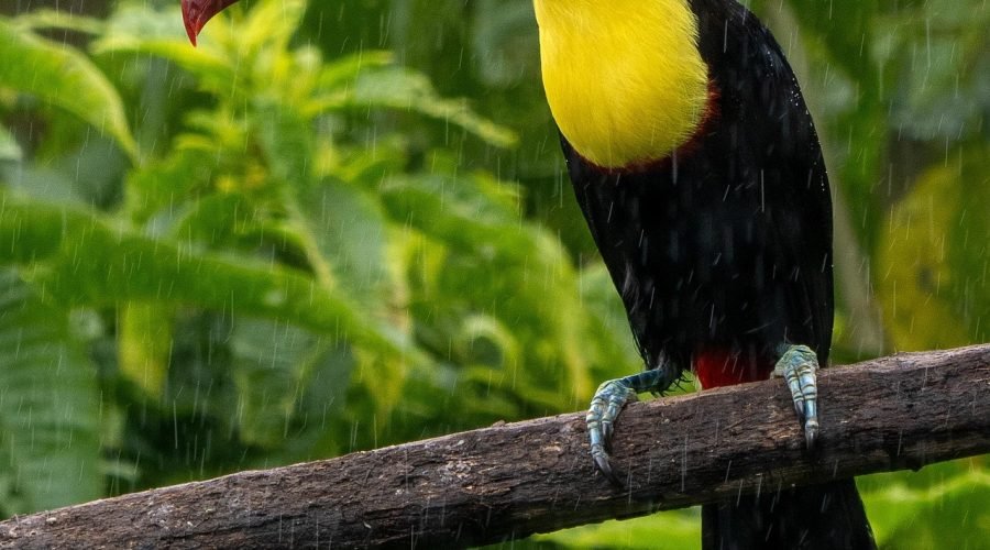 full day hike in manzanillo