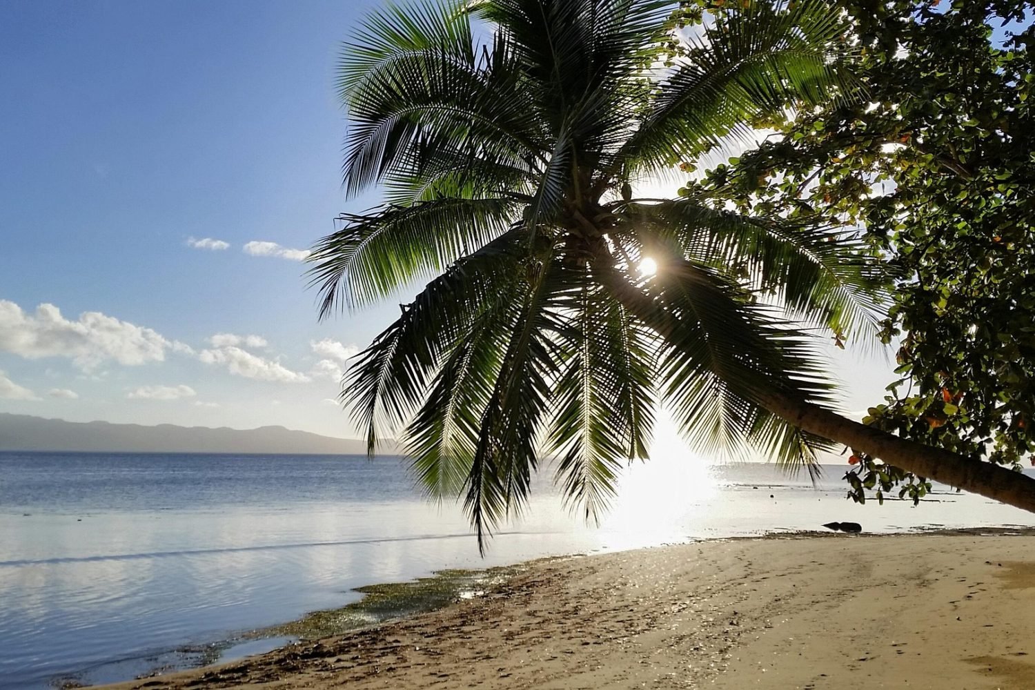 vomo island fiji: 7-night luxury escape in a tropical paradise