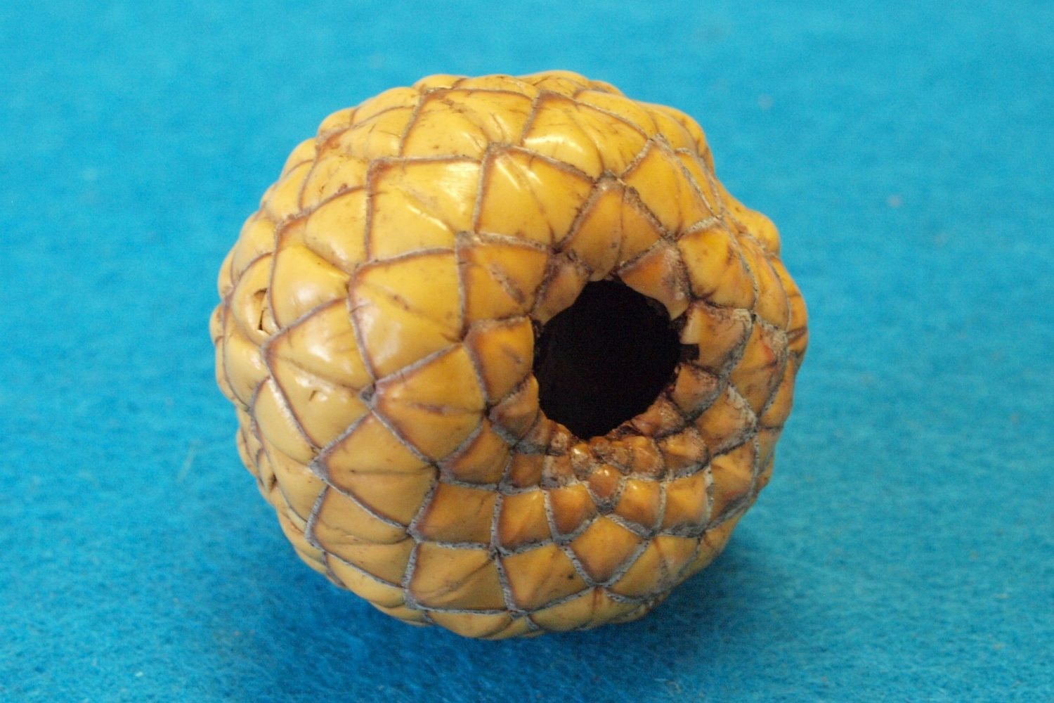 vanuatu escape: culture, volcanoes & island paradise 7-day