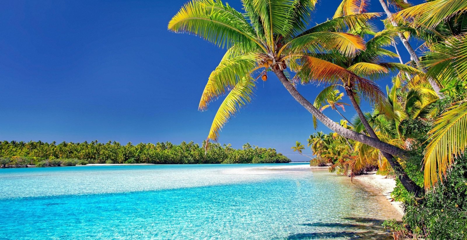 cook islands escape: tropical paradise getaway