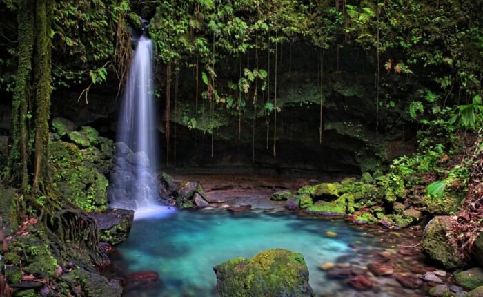 Dominica