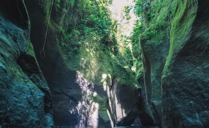 Dominica