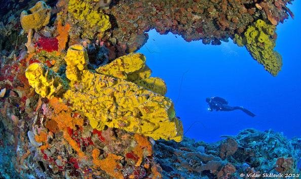 Saba Marine Park