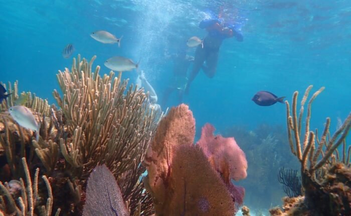 Cayman