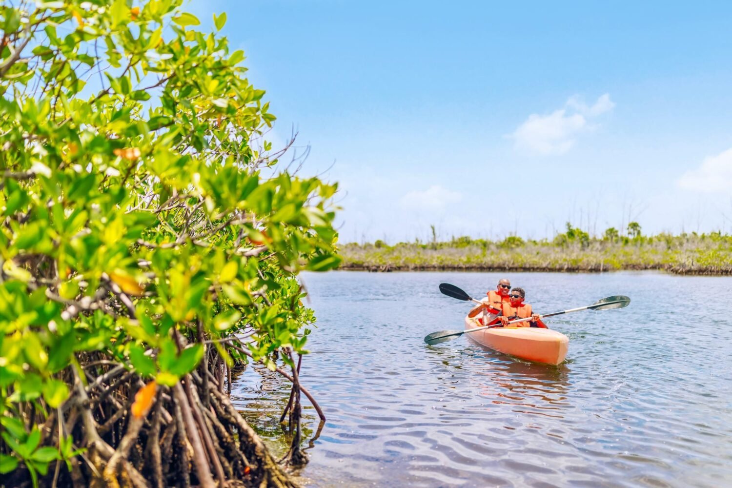 Bahamas eco tour