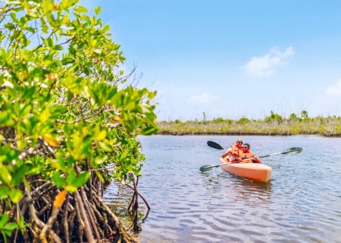 Bahamas eco tour
