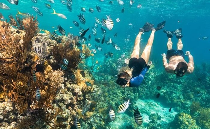 Bahamas swimming pigs tour