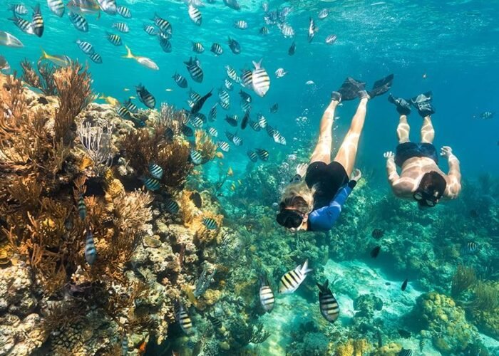 Bahamas swimming pigs tour