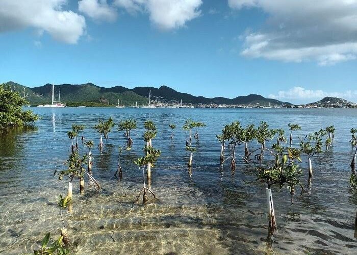 St. Maarten eco tour