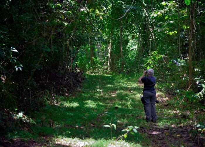 Jamaica birdwatching tour