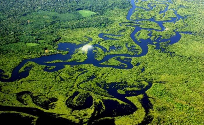 Manaus